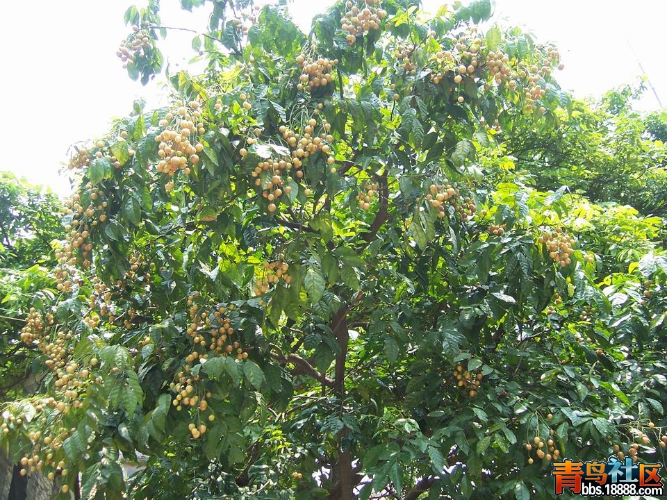 100_7867.JPG