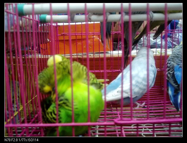 nEO_IMG_201207142013.jpg