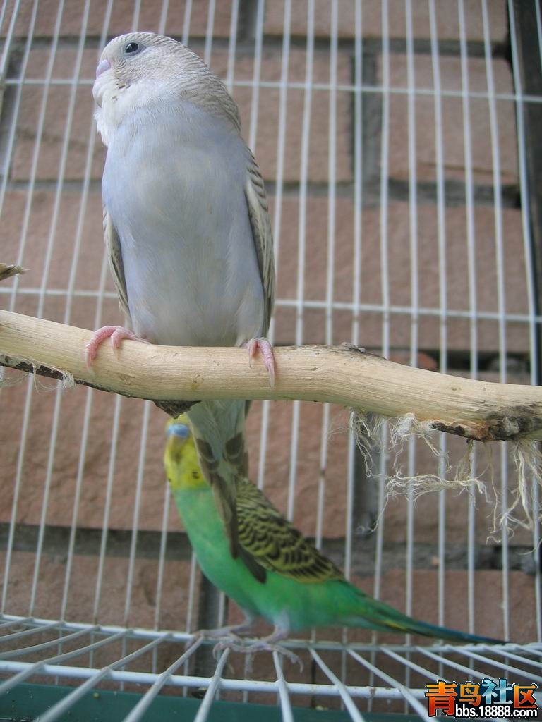 调整大小IMG_4297.JPG