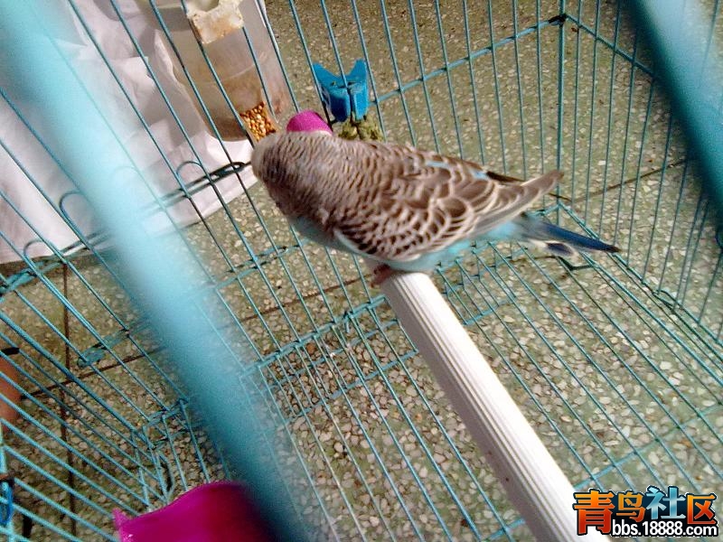 20120713905.jpg