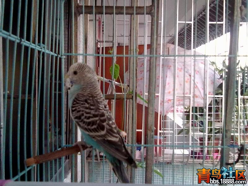 20120709881.JPG