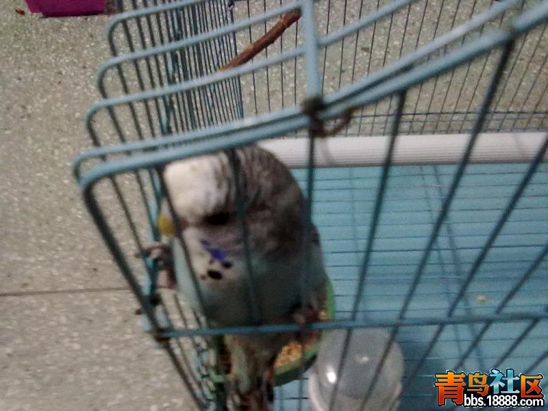 20120709896.JPG