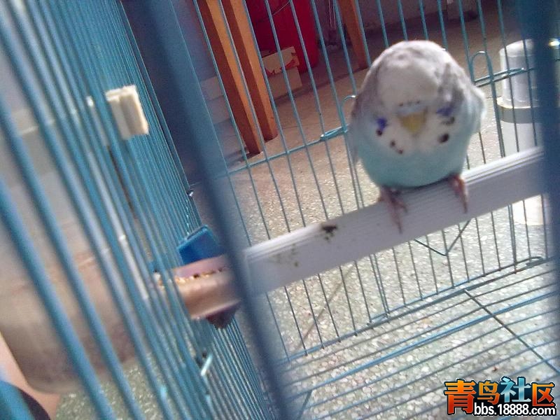 20120713908.jpg