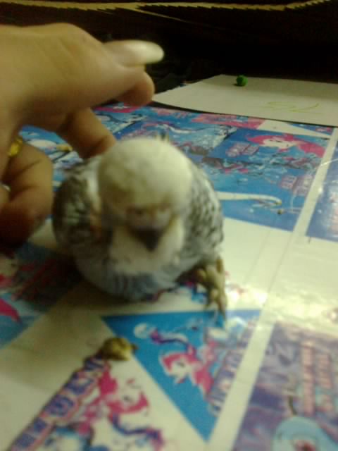 201207311002.jpg