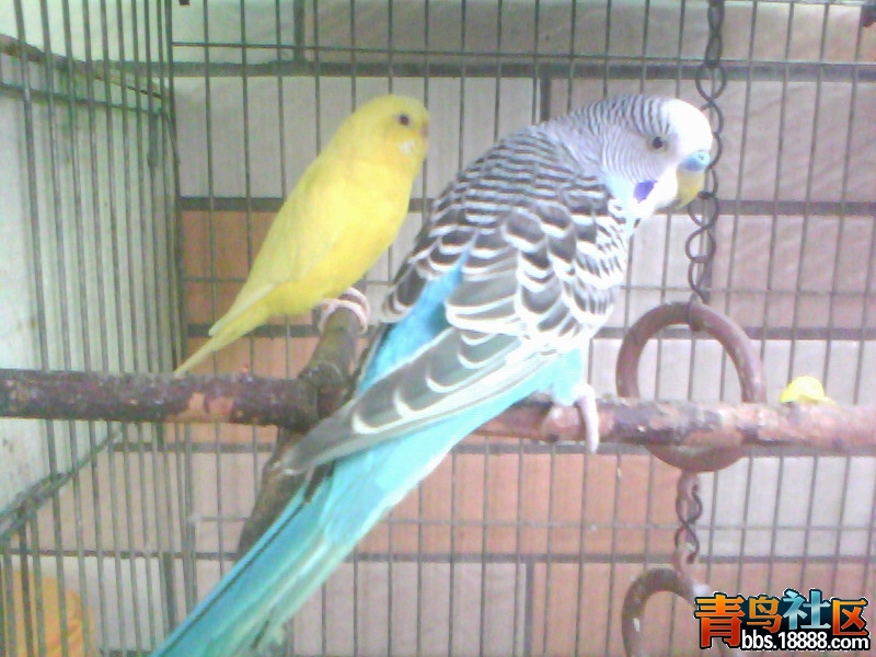 20120726C001.jpg