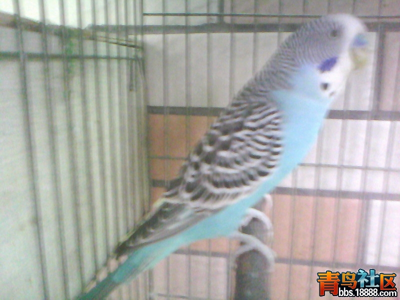 20120726C002.jpg