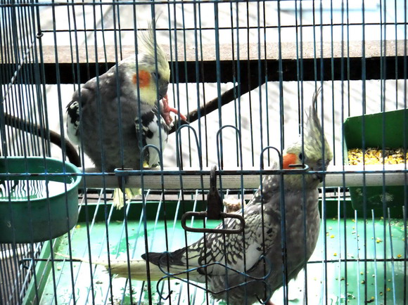 DSCF2037_调整大小.jpg