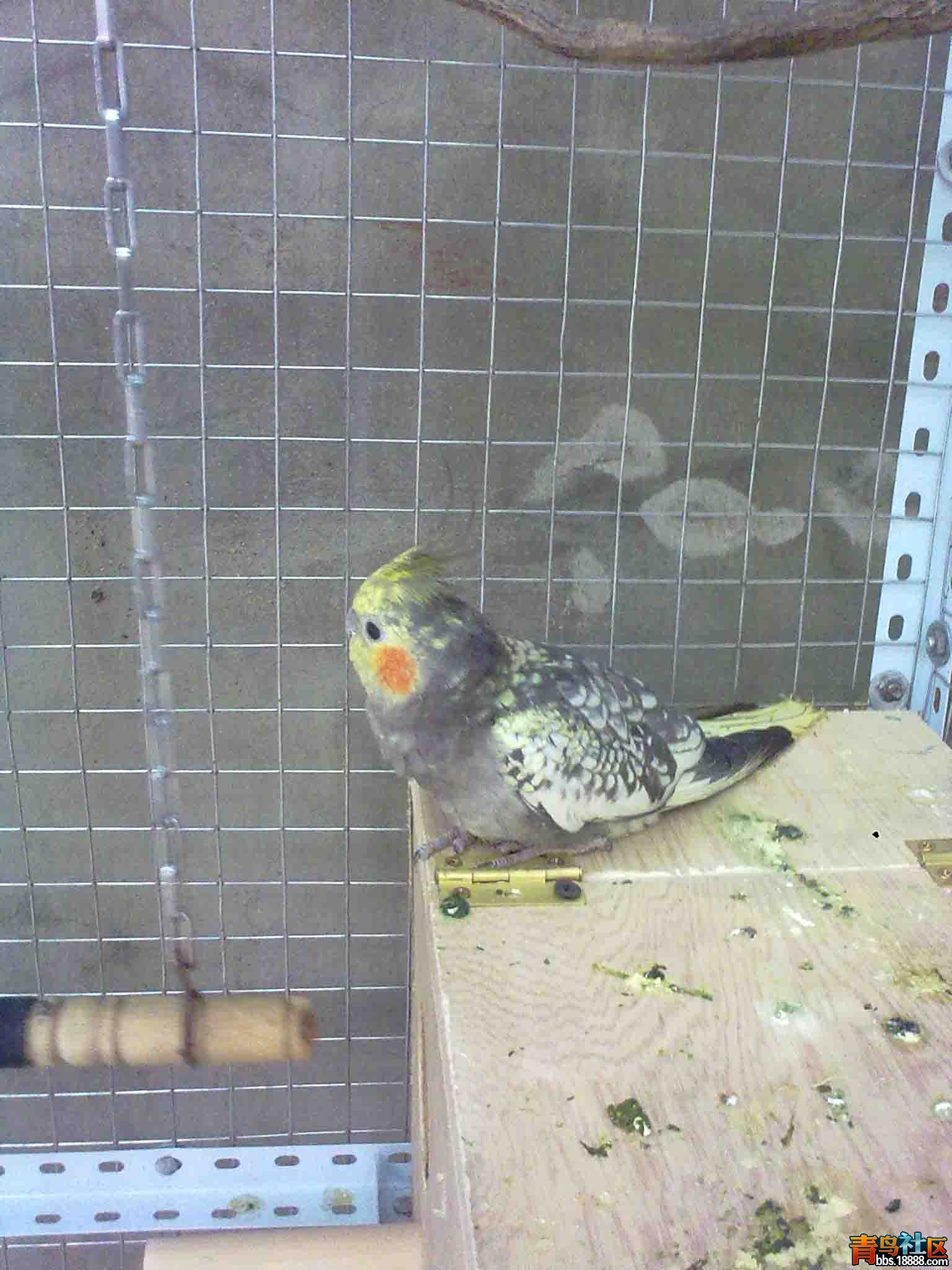 07182012024.jpg