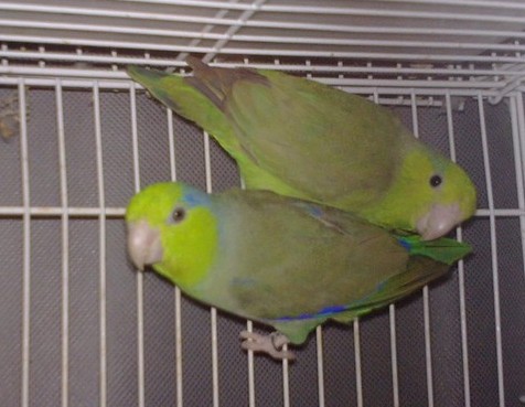 `E029PEG}{4T]`6[0M``ZNH.jpg