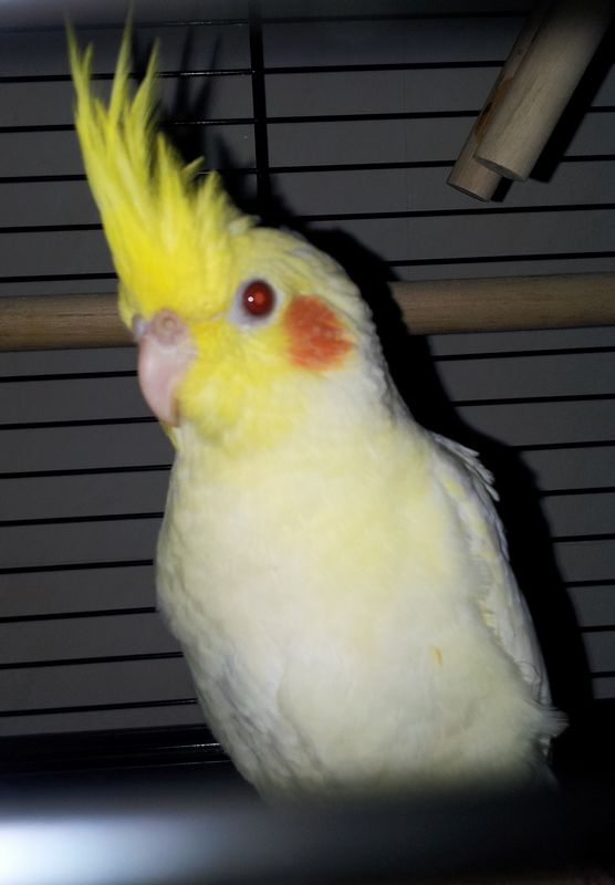 20120725_025437.jpg