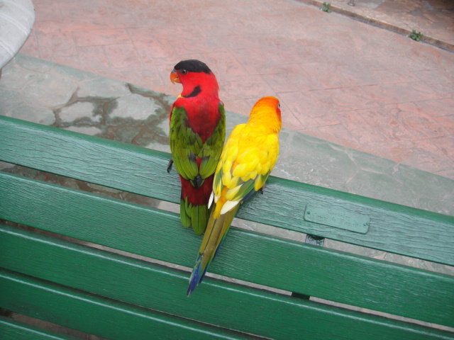 DSC00886.JPG