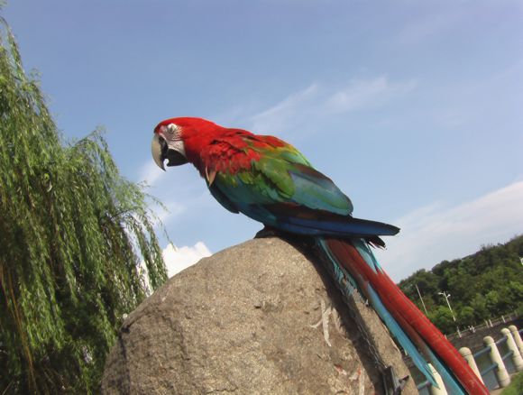 照片 113.jpg