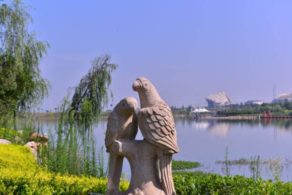 照片 561.jpg