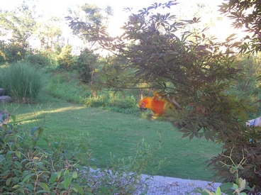 SANY0069.JPG