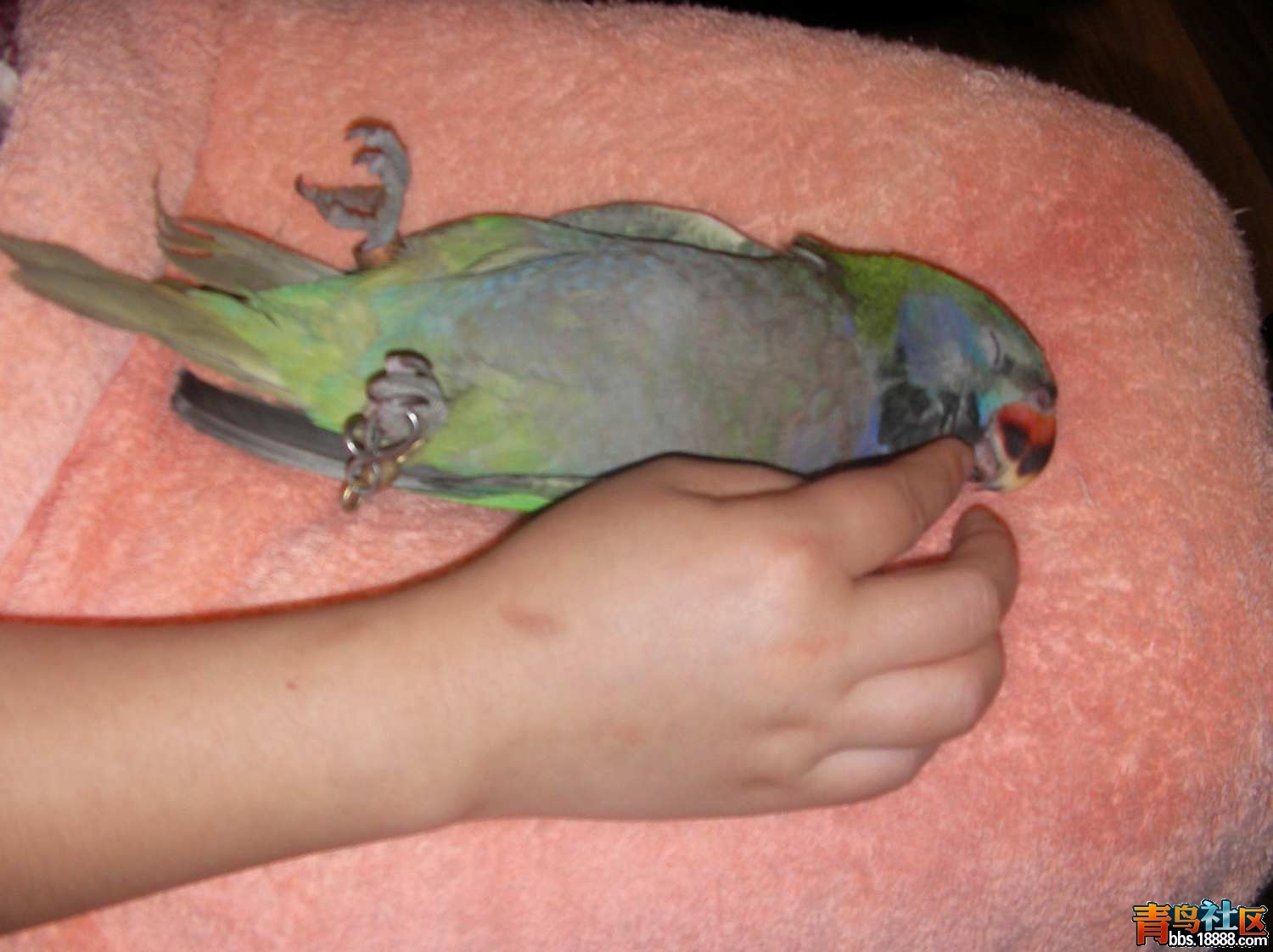 SANY0013.JPG