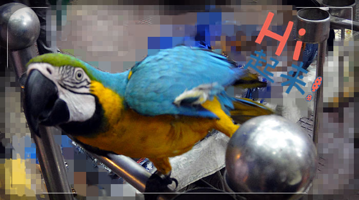3_副本.jpg