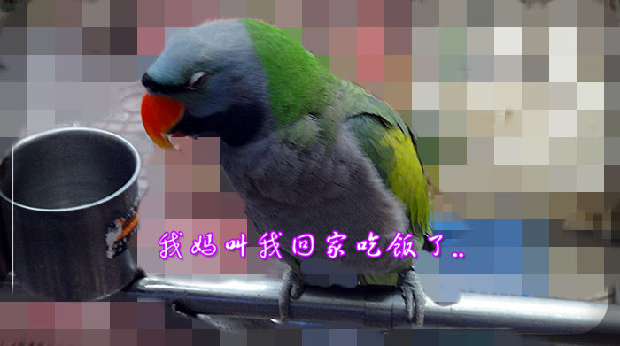 21_副本.jpg