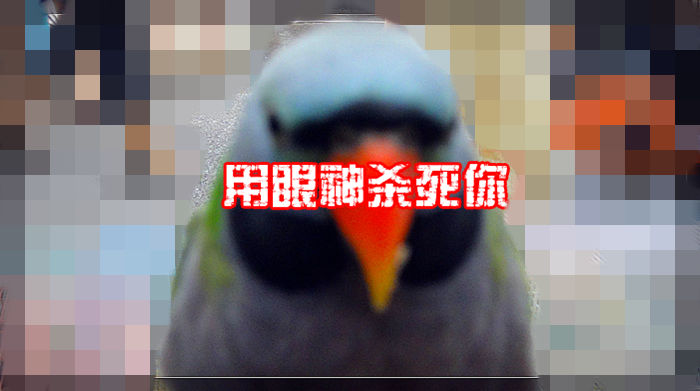 18_副本.jpg