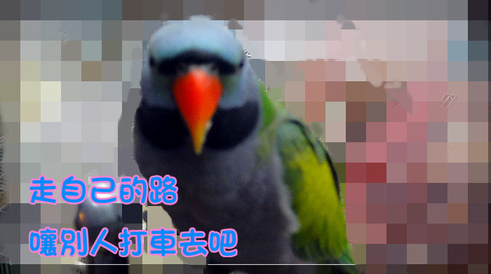 19_副本.jpg