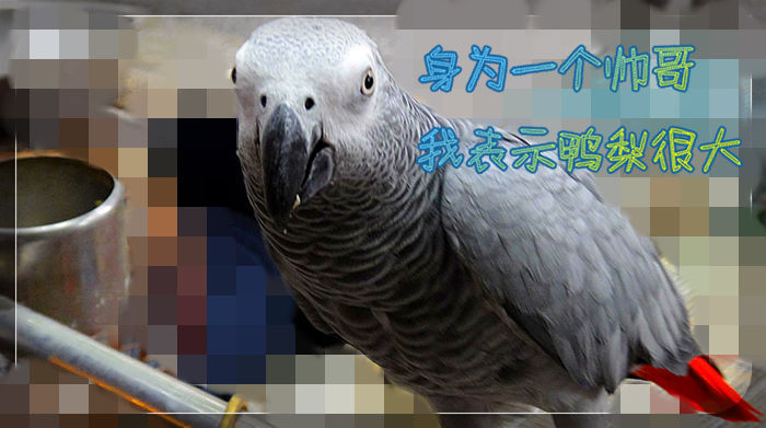 14_副本.jpg