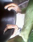 IMG0097A.jpg