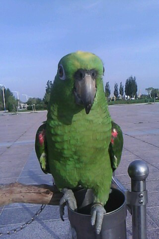 IMG0042A.JPG