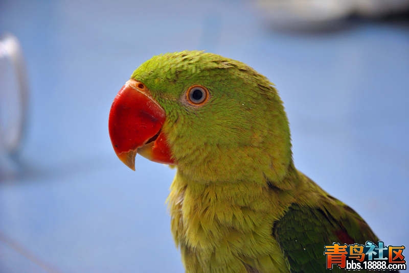 dsc_1365_副本.jpg