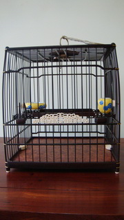 DSC05300_调整大小.JPG