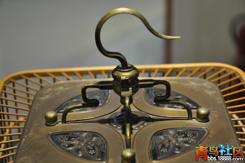 conew_dsc_0021.jpg