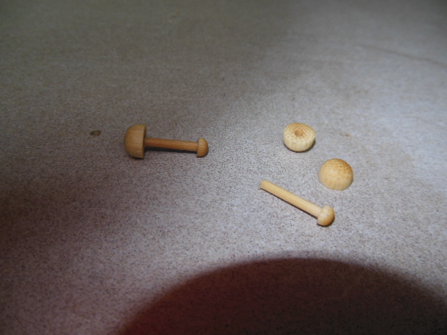 DSCN0224.jpg