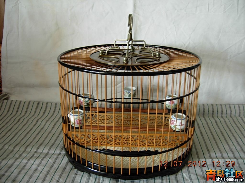 DSCN2539.jpg