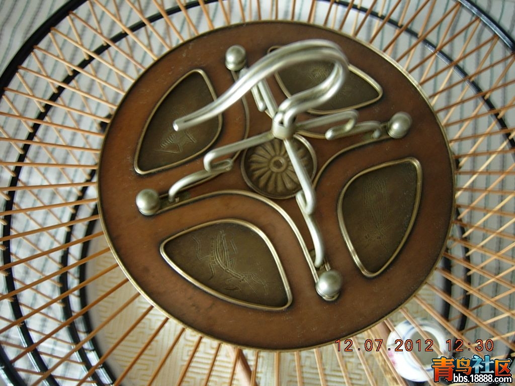 DSCN2544.jpg