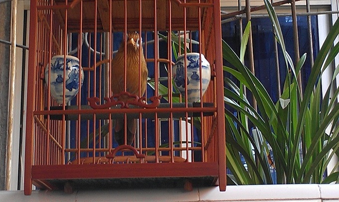 IMAG0126.jpg