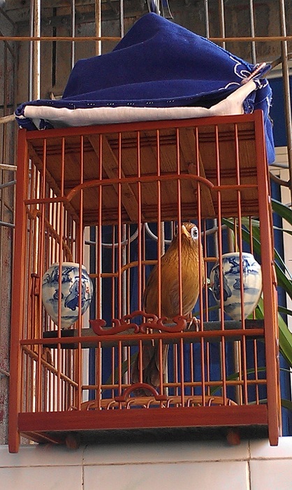IMAG0131.jpg