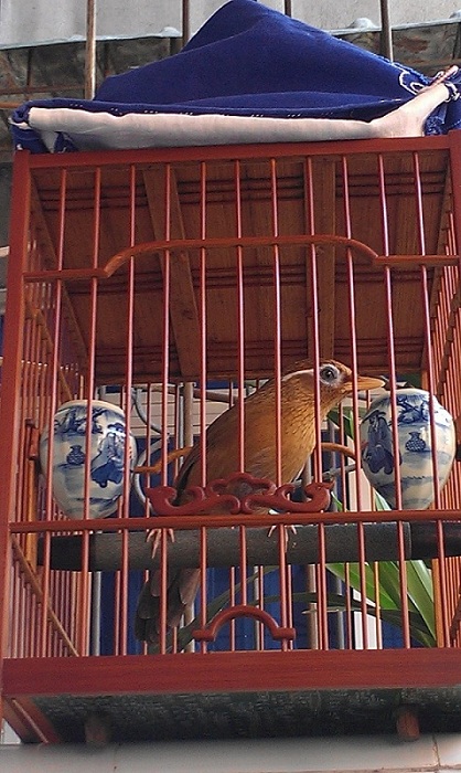 IMAG0121.jpg
