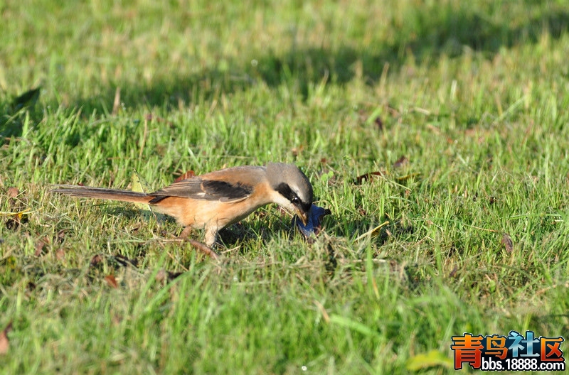 2012.7.26 009.jpg