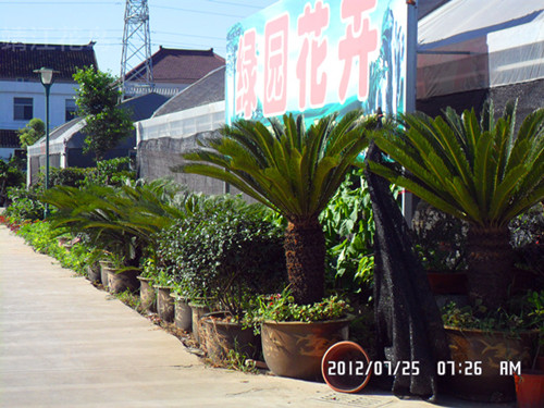 SAM_0911_副本_副本.jpg