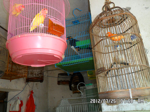 SAM_0952_副本.jpg