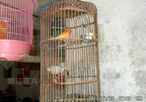 SAM_0953_副本.jpg