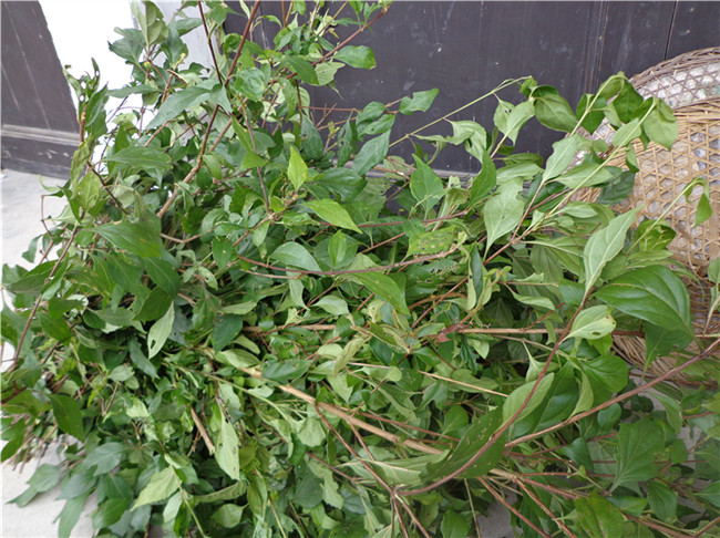 dsc00350_副本.jpg