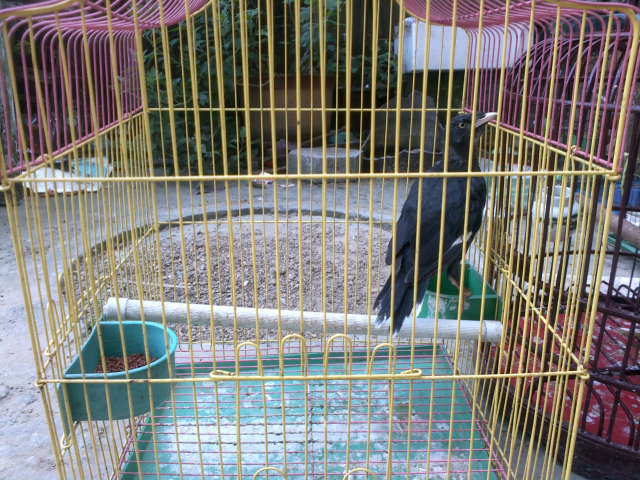 2012-07-21-829.jpg