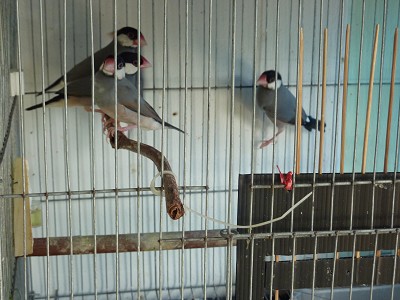 P1350080缩图.JPG
