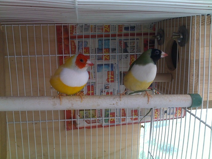 201207202348.jpg