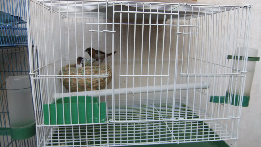 DSCF2848_缩小大小.JPG