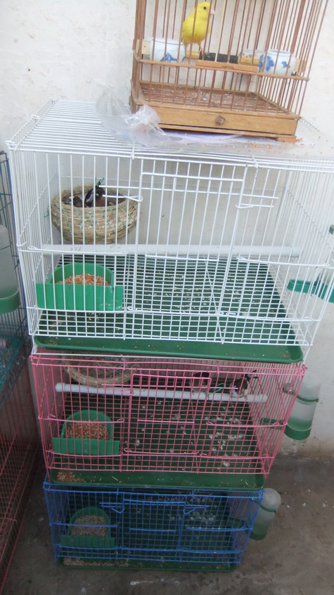 DSCF2847_缩小大小.JPG