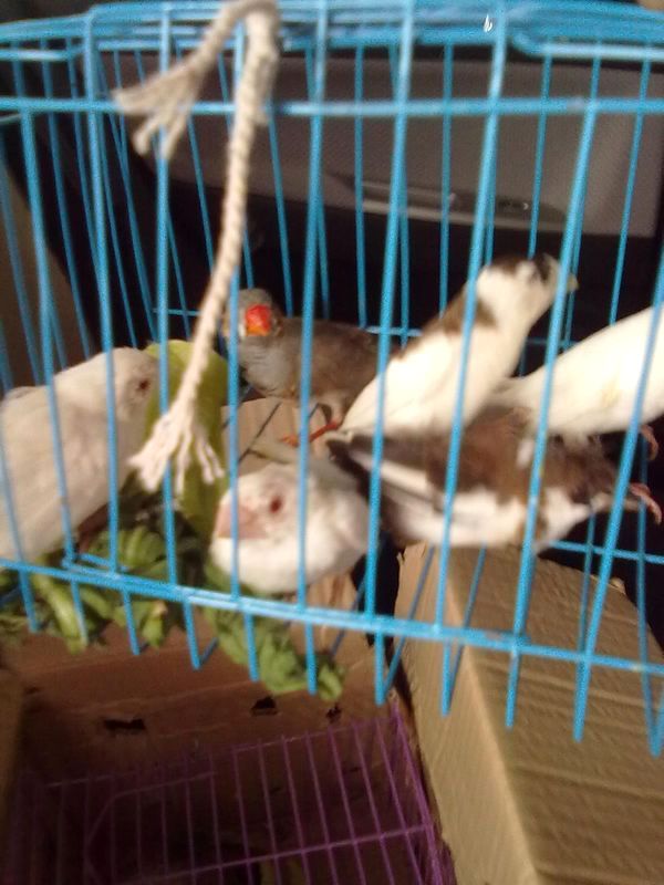 20120714745.jpg