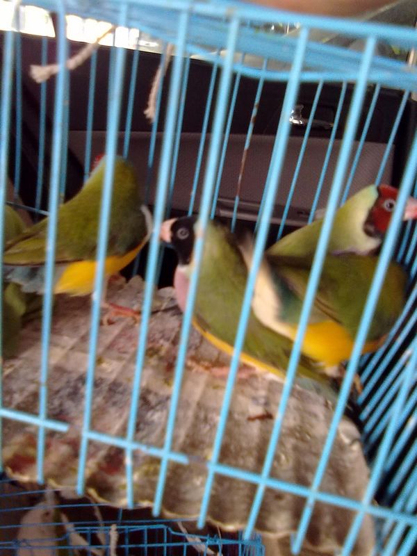20120714747.jpg