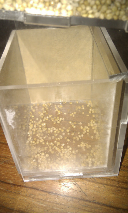 IMAG0054.jpg