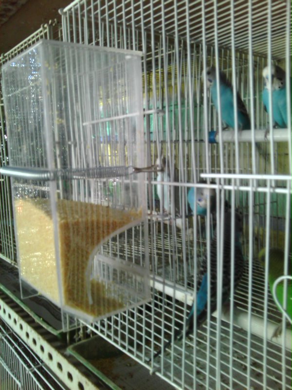 YP20120724171319.jpg