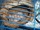 100_6811.jpg